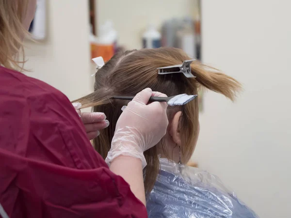 Разделимся Нити Процедура Окрашивания Волос Салоне Красоты — стоковое фото