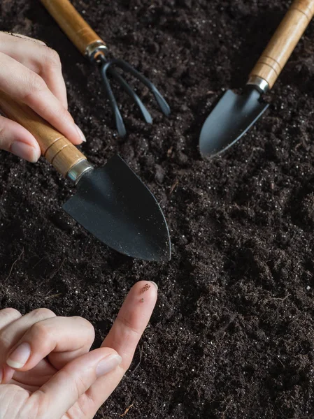 Plantando sementes de tabaco. Sementes de tabaco no dedo . — Fotografia de Stock