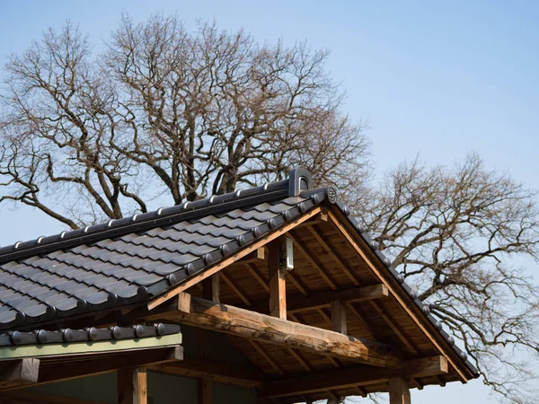 O telhado do templo japonês em árvores verdes . — Fotografia de Stock