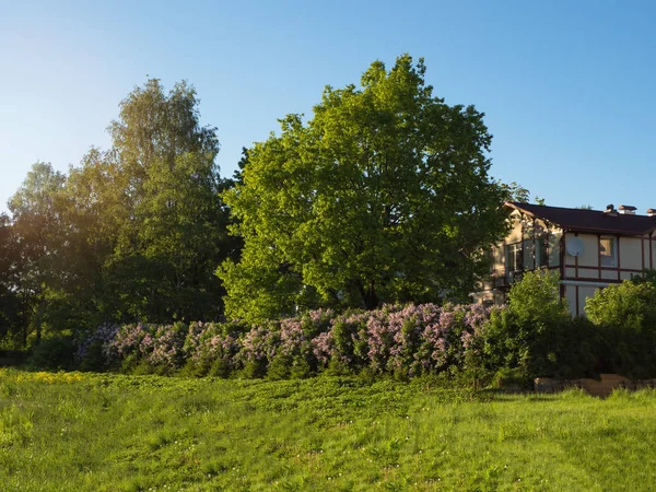 Ekologiskt Boende Vacker Stuga Grönskande Blomster Landskap — Stockfoto