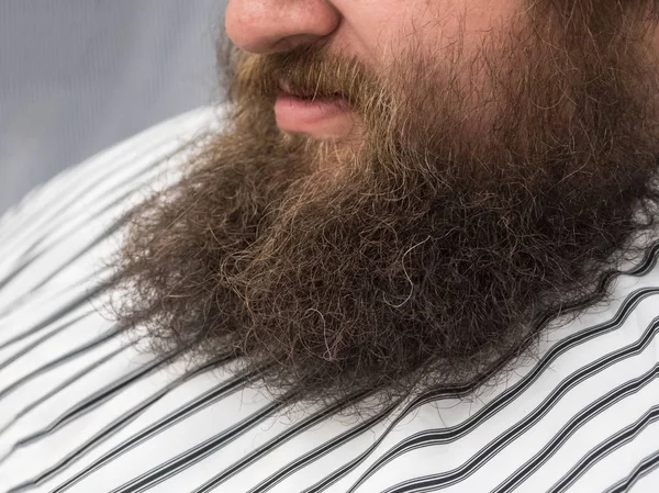 Bearded man close up of gray background. — Stock Photo, Image