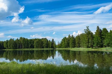 Parkta bir göl ile yaz minimalist panoramik manzara