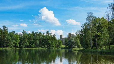 Eski Saray yakınında bir gölet ile güzel yaz manzara. Gatchina. Rusya