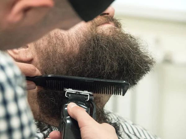 Trimming beard with clippers in a Barber shop.