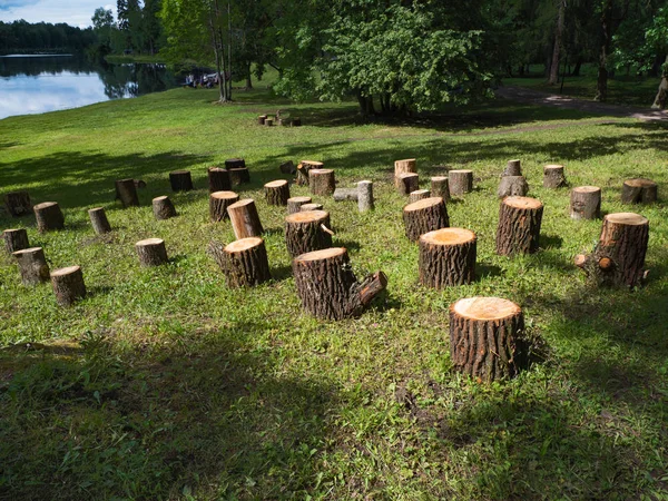 Concept d'écotourisme. Sièges en bois sur la pelouse verte — Photo