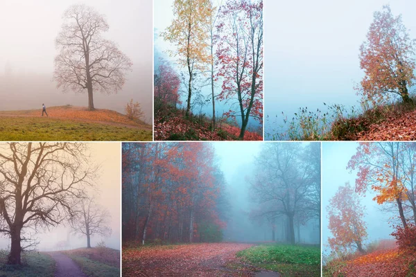 Collage con bella vista di autunno nebbioso . — Foto Stock