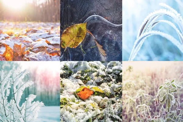 Коллаж с текстурой зимней природы . — стоковое фото