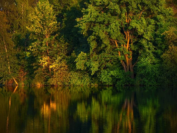 Los árboles se reflejan en el agua a principios de otoño — Foto de Stock
