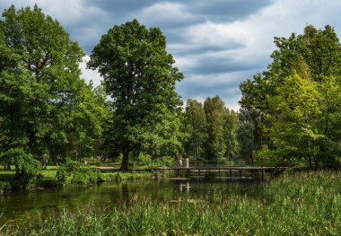 Yeşil bir parkta bir köprü ile Yaz manzara