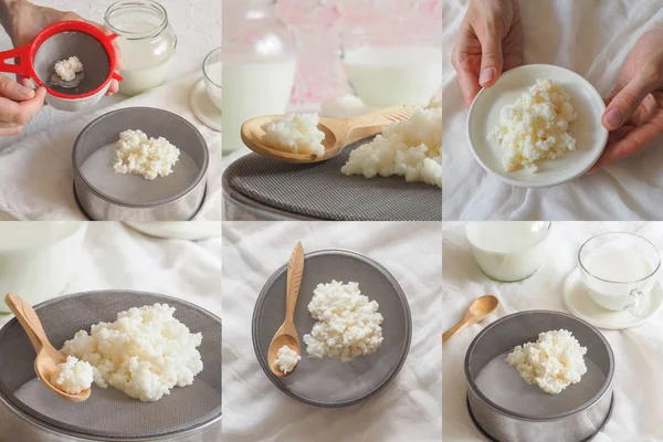 Kolaż z tybetańskiego mleka grzyba. Homemade mleka kefir ziarna na filtr sitko — Zdjęcie stockowe