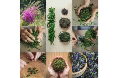 Elle pişirme fermente koporye çayı ile kolaj.