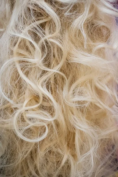カール感のある金髪でカール感のあるロングヘア — ストック写真