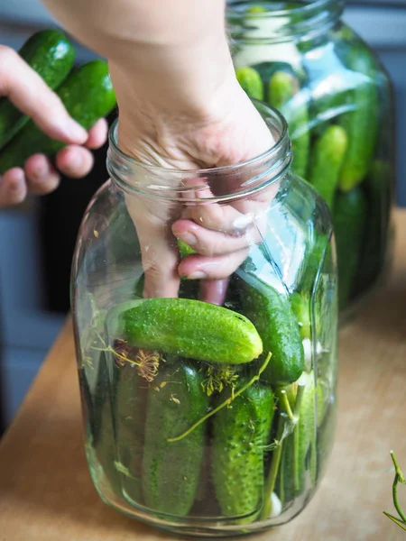 Ev salatalığı. Kantin için bir kavanoza gherkins döşeme