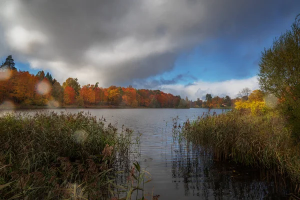 Rainy autumn day on the lake. — 스톡 사진