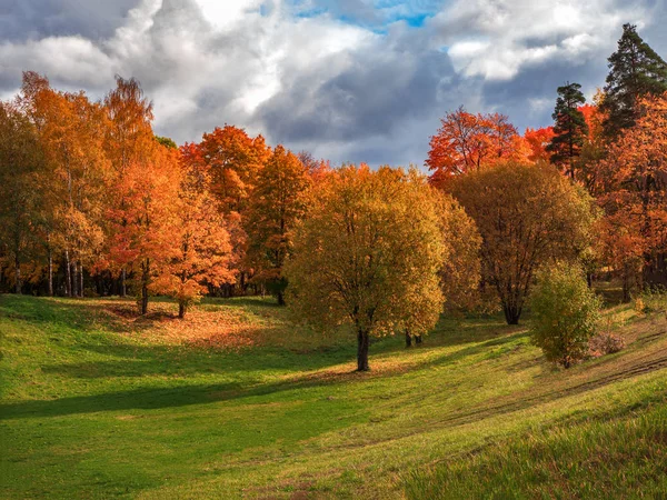 Jasny jesienny krajobraz z czerwonymi drzewami w parku — Zdjęcie stockowe