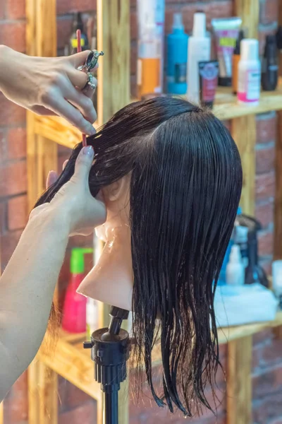 Entrenamiento peluquero con maniquíes . — Foto de Stock