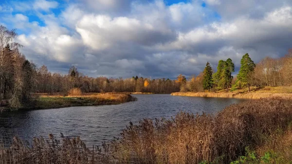 호수와 숲 이 있는 밝은 가을 풍경. — 스톡 사진