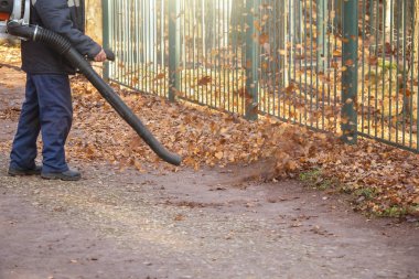 Erkek işçi sonbaharda yaprak üfleyici çimlerini temizler