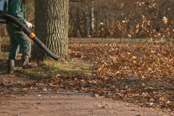 Trabajador masculino elimina césped soplador de hojas de otoño . — Foto de Stock