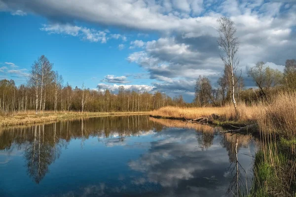 Летний пейзаж со старым прудом, деревья на берегу и рефлекс — стоковое фото