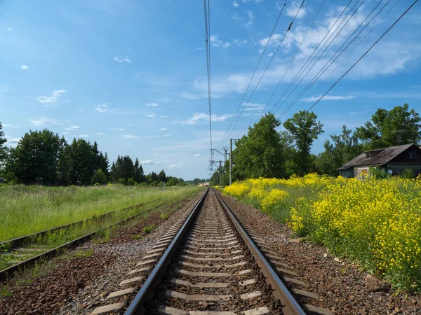 Railway tracks among yellow fields, country railroad — Stock Photo, Image
