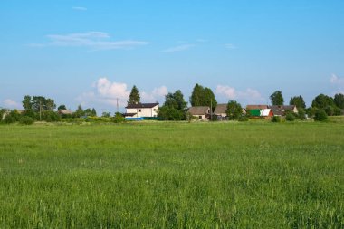 Bir yaz günü açık yeşil çimlerle kaplı açık bir arazi açık mavi gökyüzü ve ufukta bir köy