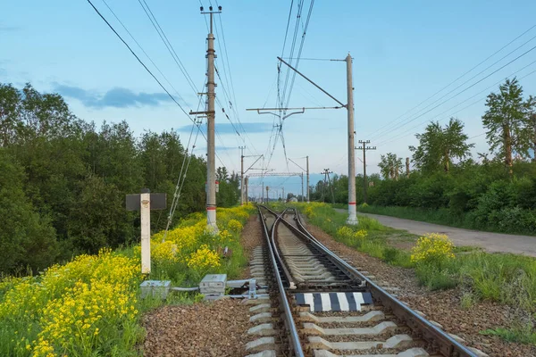 Railroad tracks by the countryside in the evening — Stock Photo, Image