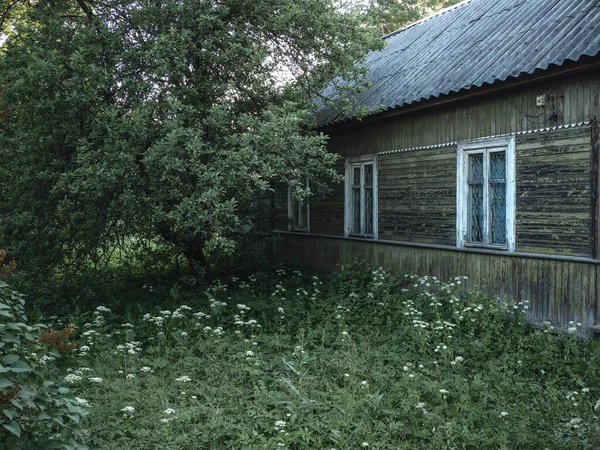 Çok eski, otantik, yeşil bahçeli ahşap bir köylü evi. Rusya 'nın köylerinde geleneksel bir ev. — Stok fotoğraf