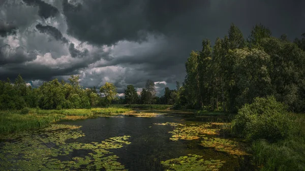 Paysage estival orageux avec rivière, fleurs d'eau, forêt et nuages sombres et dramatiques — Photo