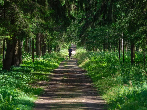 Löpare på en skuggig skogsstig. Sommaren går i naturen — Stockfoto