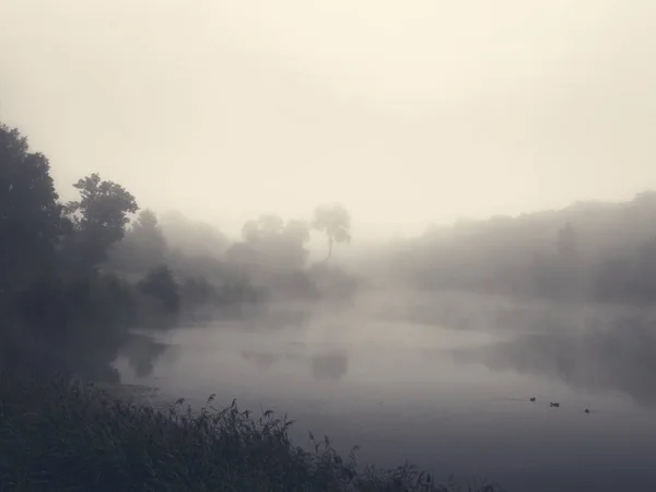 Rano letni krajobraz z mgłą nad jeziorem — Zdjęcie stockowe