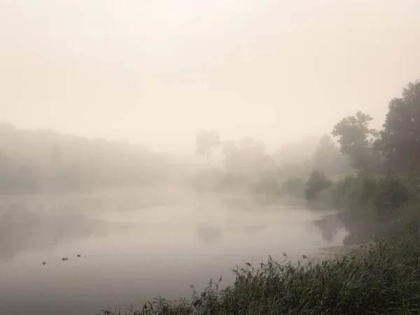 Mattina paesaggio estivo con nebbia sul lago — Foto Stock