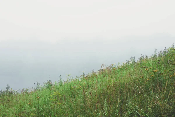 在一个雾蒙蒙的早晨，高山高山青草覆盖的斜坡。雾蒙蒙的极简主义风景。一大早就去一个神秘的地方 — 图库照片