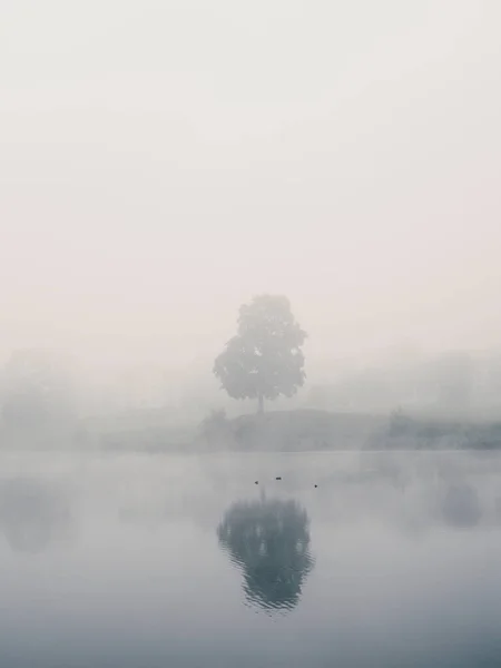 Mystiskt morgonlandskap med dimma över sjön. Mjuk inriktning — Stockfoto