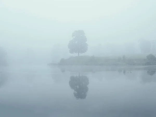Mistyczny poranny krajobraz z mgłą nad jeziorem. Miękkie skupienie — Zdjęcie stockowe