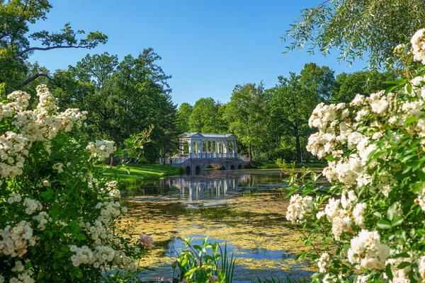 Catherine Park 'taki mermer köprü Tsarskoye Selo, Saint Petersburg, Rusya