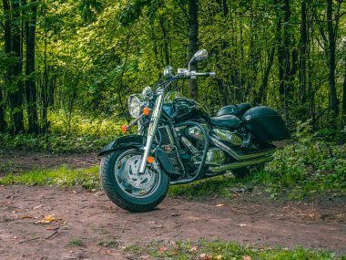 - Rusya. Saint-Petersburg 'da. 20 Eylül. Harley bisikleti yeşil ormana park edilmiş..
