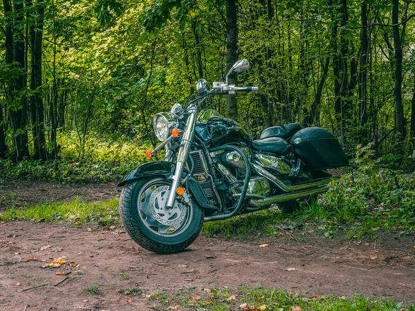 Rusia Saint Petersburg September Motor Harley Diparkir Hutan Hijau — Stok Foto