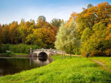 Güzel sonbahar manzarası. Pavlovsk 'ta. Rusya