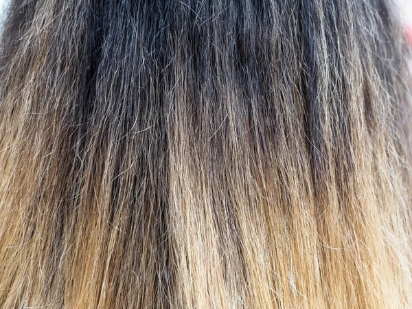 Gradient color on the hair. Colored staining of the hair