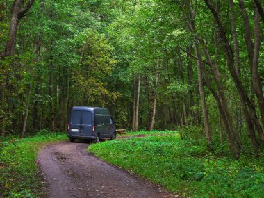 Güzel bir orman yolundan dön. Yeşil orman yolunda bir kamyon dönüyor.