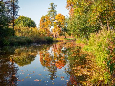 Güzel sonbahar manzarası 