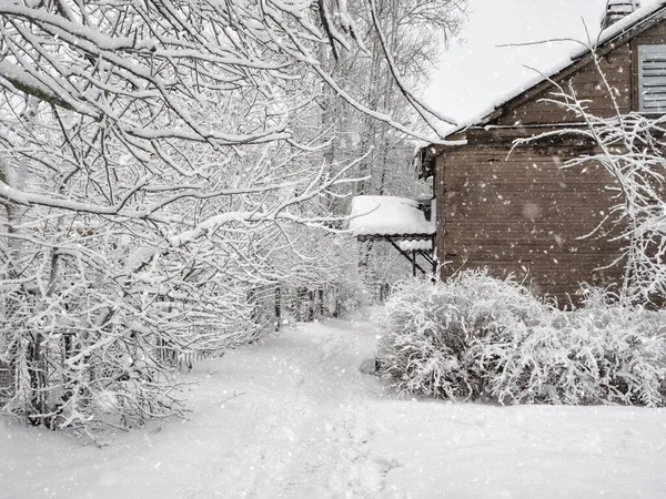 Schneeweißer Hintergrund im Dorf. Winterbäume mit Raureif d — Stockfoto