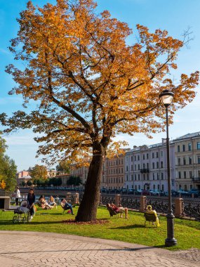 İnsanlar, Saint Petersburg 'daki New Holland bölgesindeki setin üzerindeki büyük bir sonbahar ağacının altında rahatça oturuyorlar. Eylül 2020, Rusya.