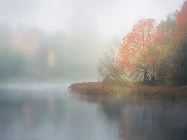Mistyczny poranek jesienny krajobraz z mgłą nad jeziorem. — Zdjęcie stockowe