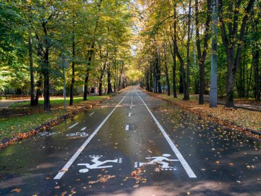 Autumn Park 'taki paten pistinde. Bisikletçiler ve patenler için asfalttaki beyaz işaretler.