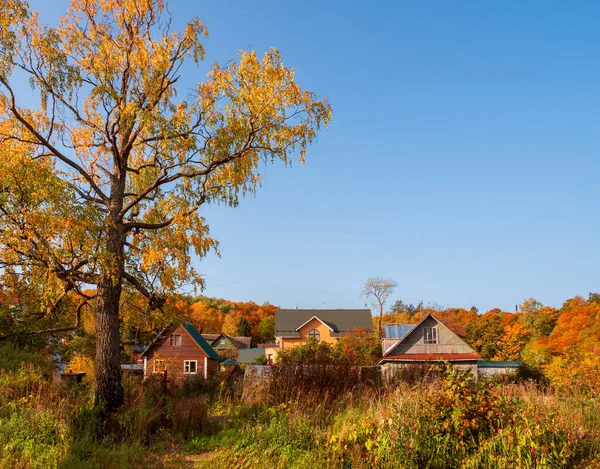 Осенью в сельской местности. Большое дерево рядом со старым деревенским коттеджем. Счастливая жизнь в стране. — стоковое фото
