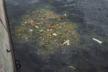 Human trash floating on the river. Garbage drifts in the waters