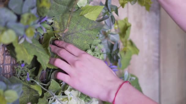 Händerna på flicka närbild: dekorera blommor med en gren av grön eucalyptus — Stockvideo
