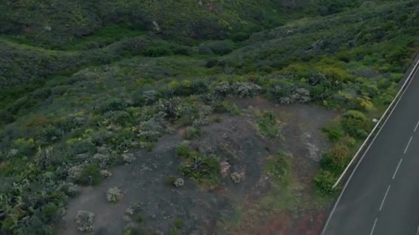 Vooruit naar de bergen, video van de drone — Stockvideo